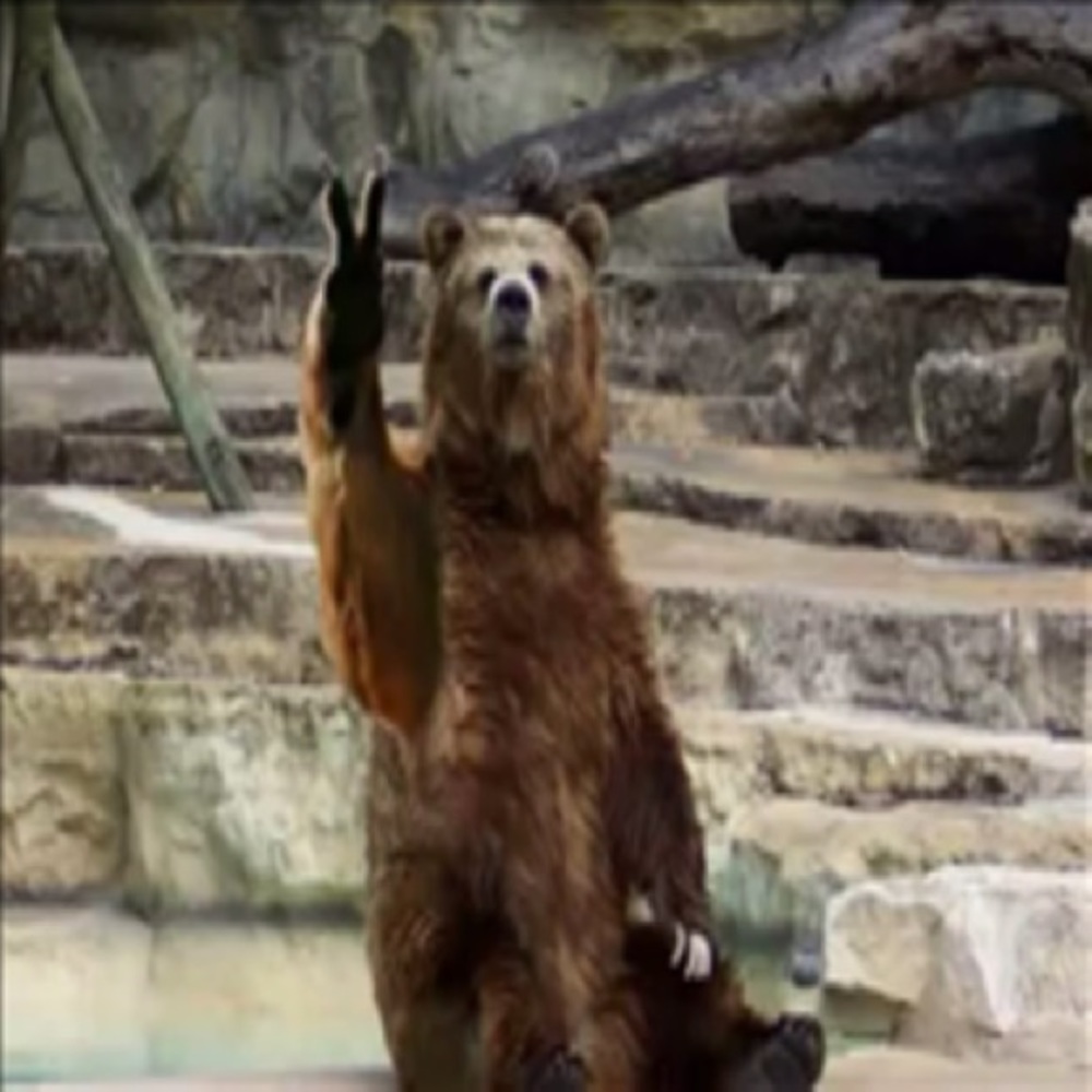 Meet your Posher, Brian